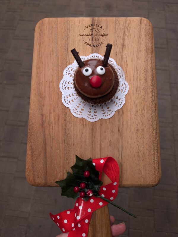 Muddy Reindeer